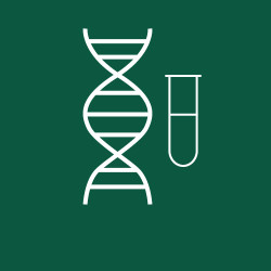 Oligos DNA en tubo