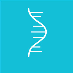 Oligos RNA en tubo