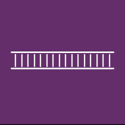 Duplex DNA