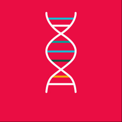 Oligos Antisense